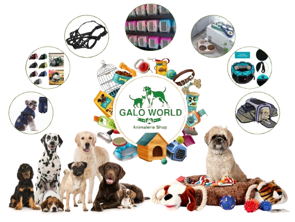 Animalerie en ligne Maroc