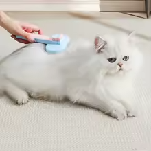 brosse de chat et chien