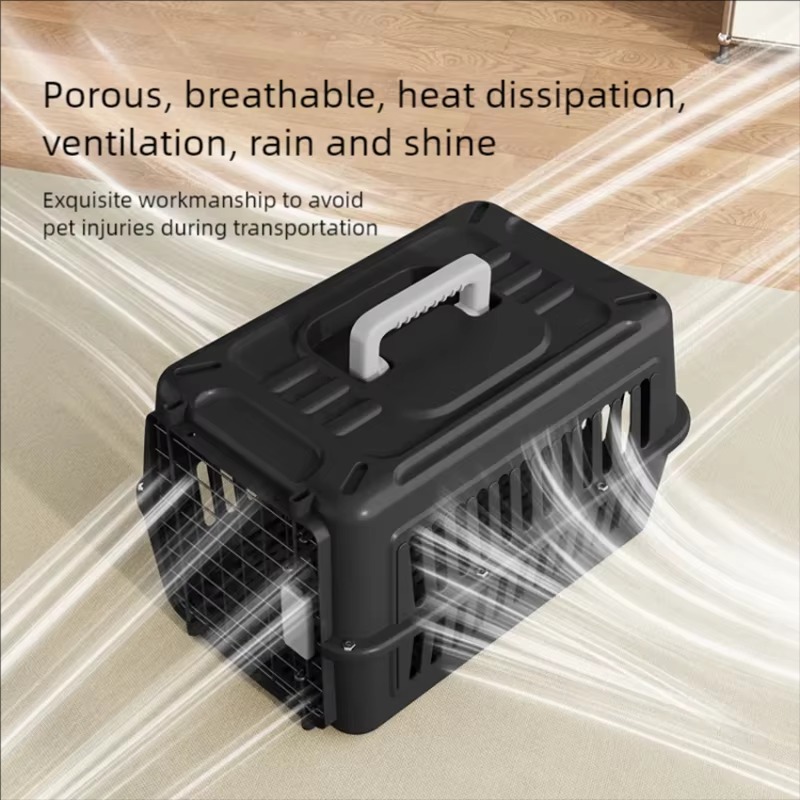 cage de transport chat