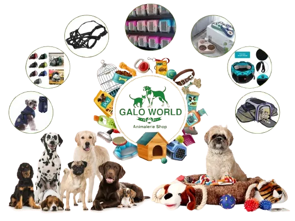 Animalerie en ligne au Maroc