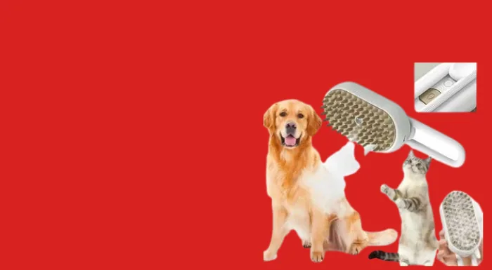 Accessoires pour chats et chiens