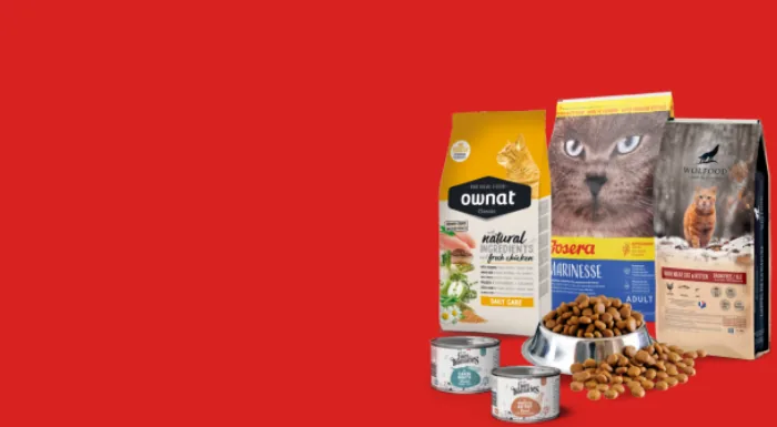 Croquettes pour chats